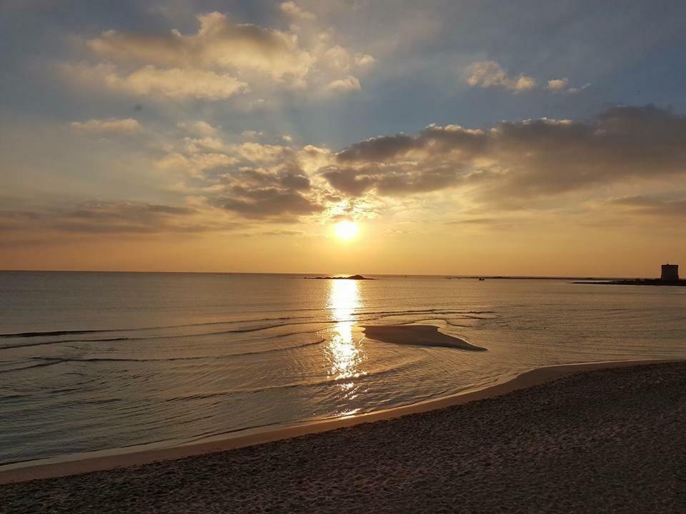 Vev Salento Bed and Breakfast Porto Cesareo Buitenkant foto