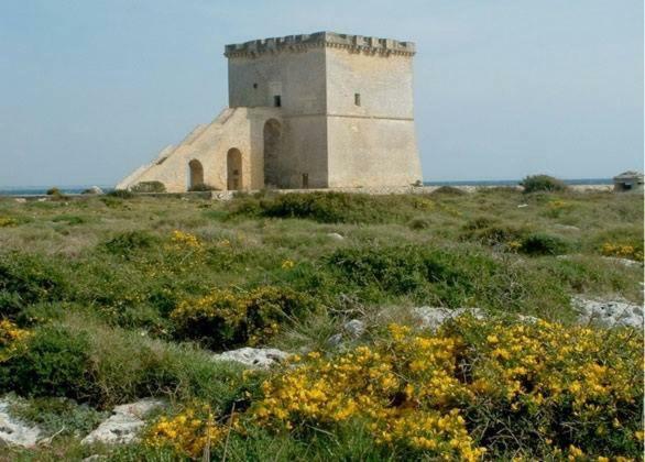 Vev Salento Bed and Breakfast Porto Cesareo Buitenkant foto